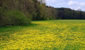 Excursión A pie Vaihingen an der Enz - Blauer Punkt, Horrheim - Fleckenwald - Photo 8