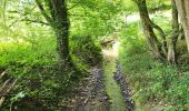 Tour Wandern Ferrières - Burnontige 180623 - Photo 9