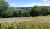 Trail Walking Menet - 20210614 Menet - Photo 3