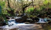 Tour Zu Fuß Vigo - Sendeiro Local de Zamáns - Photo 3