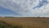 Tour  Attert - Balisage GR 15 - Photo 8