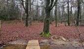 Excursión Senderismo Saint-Hubert - A la découverte de Saint-Hubert 🥾 - Photo 20