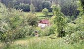 Tour Zu Fuß Mudau - Rundwanderweg Reisenbacher Grund 2 - Photo 9