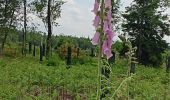 Randonnée Marche Theux - au sud de Bronrome  - Photo 16
