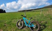 Tocht Elektrische fiets Le Puy-en-Velay - le puy en Velay est / les Estables  - Photo 3