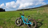 Percorso Bicicletta elettrica Le Puy-en-Velay - le puy en Velay est / les Estables  - Photo 3