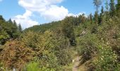 Tocht Stappen Houffalize - tour du lac des 2 ourthes - barrage de Nisramont  - Photo 12