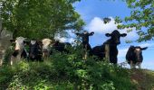 Trail Walking La Hague - Monville - Photo 5