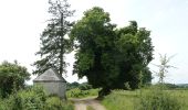 Tour Zu Fuß Ferrières - 13. Circuit des croix et des chapelles - Photo 3