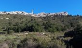 Tour Wandern Le Revest-les-Eaux - Le Mont Caume-17-03-21 - Photo 4