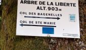 Excursión Senderismo Sainte-Marie-aux-Mines - Col de Ste Marie aux Mines (27/8/2020) - Photo 2
