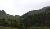 Tour Wandern Plancherine - chalet de Drison à nant fourchu  - Photo 1