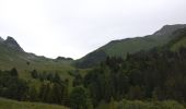 Excursión Senderismo Plancherine - chalet de Drison à nant fourchu  - Photo 1