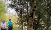 Tour Wandern Houyet - Houyet - Photo 1