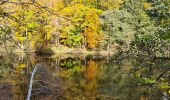 Trail Walking La Bourboule - Bourboule-puy-st-roch-retour-Bourboule - Photo 2