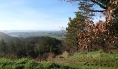 Randonnée Marche Puy-Saint-Martin - Chevrière La Pigne 11km - Photo 3