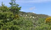 Tocht Stappen Castellane - Mandarom l'acide castillion - Photo 10