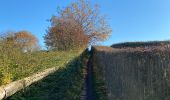 Trail Walking Genappe - Autour de Bousval 2 - Photo 1