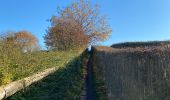 Randonnée Marche Genappe - Autour de Bousval 2 - Photo 1