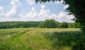 Trail On foot Detmold - Residenzweg [Detmold] - Photo 3