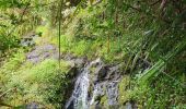 Trail Walking Saint-Benoît - Takamaka - Photo 4