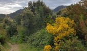 Tocht Stappen Collioure - rimbaud chemin de l'eau  - Photo 4