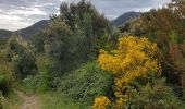 Excursión Senderismo Collioure - rimbaud chemin de l'eau  - Photo 4