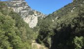 Trail Walking Sales de Llierca - Sadernes Sant Aniol  - Photo 19