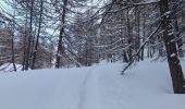 Excursión Raquetas de nieve Allos - Rando Raquettes Val d'Allos  - Photo 5