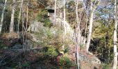 Tour Wandern Spa - musée du l'avoir		+ bois de Spa + étang de Chawion - Photo 6