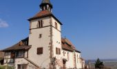 Excursión Senderismo Dambach-la-Ville - Traversée du massif du Bernstein - Photo 2