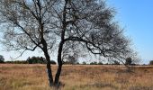 Tocht Te voet Spa - 19. Les caillebotis de Malchamps-Bérinzenne - Photo 10