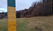 Tour Wandern La Chapelle-en-Vercors - Serre Plumé  - Photo 8