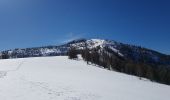Tour Schneeschuhwandern Colmars - LAUPON 23.02.19 - Photo 8
