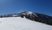 Randonnée Raquettes à neige Colmars - LAUPON 23.02.19 - Photo 8