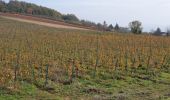 Excursión Senderismo Saint-Jean-des-Vignes - Saint-Jean-des-Vignes - De Saint-Jean à Pierre Folle - Photo 3