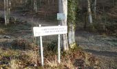 Trail Walking Bouilly - Balade dans les bois - Photo 2