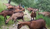 Trail Walking Linthal - Linthal boucle par col de lauchen - Photo 2