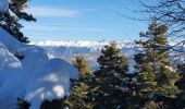 Randonnée Raquettes à neige Gréolières - GREOLIERES - Photo 4