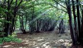 Tour Zu Fuß Urbe - Martina Olba - Passo del Faiallo - Photo 9