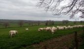 Tour Wandern Briennon - rando à partir du port de Brienon  - Photo 4