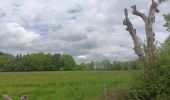 Trail Walking Theux - lareid . vertbuisson . haut marais . fraineux . la reid  - Photo 9