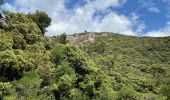 Tour Wandern Mérindol - PF-Puget - Autour du Vallon du Dégoutau - 03.06.2021 - Photo 4