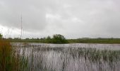 Tocht Te voet Sligo Municipal Borough District - Union Rock Trail - Photo 1