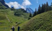 Tour Wandern Pralognan-la-Vanoise - Pralognan, Lac des Vaches par le téléphérique  - Photo 17