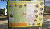 Tour Wandern Milhaud - 2023-11-21 - Photo 1