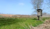 Trail Walking Tongeren - Promenade de la beauté cachée à Lauw  - Photo 6