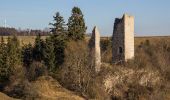 Tour Zu Fuß Titting - Bechthaler Weg - Photo 6