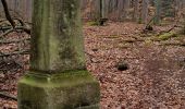 Excursión A pie Bad Homburg vor der Höhe - Libellenweg - Photo 8