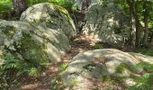 Excursión Senderismo Soisy-sur-École - Soizy-sur-Ecole - La Padole - Photo 2